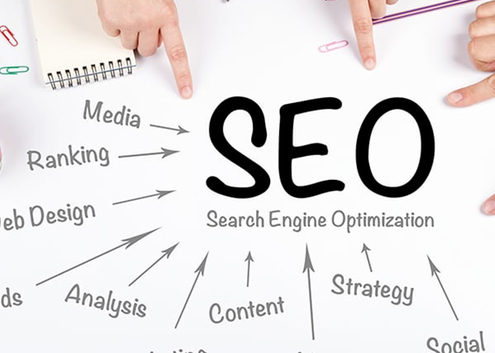 SEO training and websites