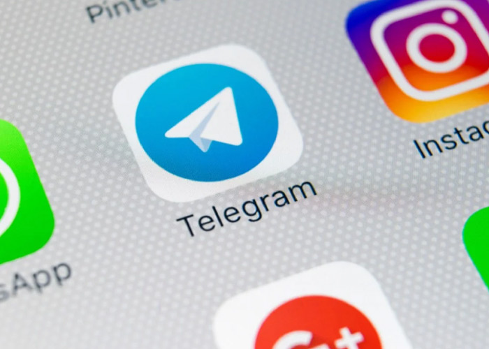 How to apply for blue checkmark in telegram?