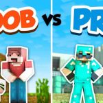 Minecraft NOOB vs PRO