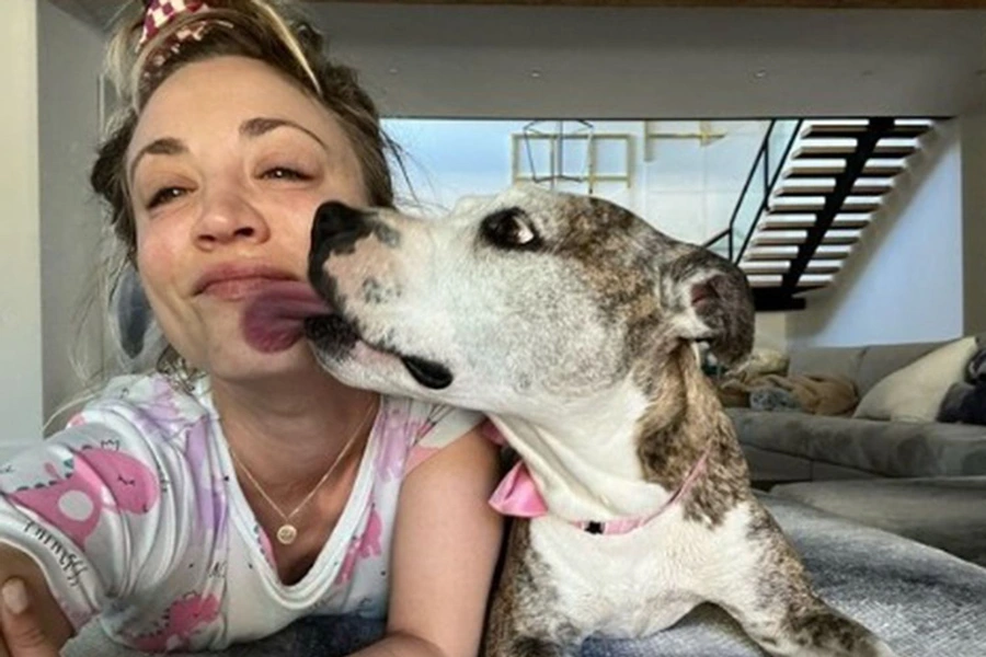 kaley cuoco dog